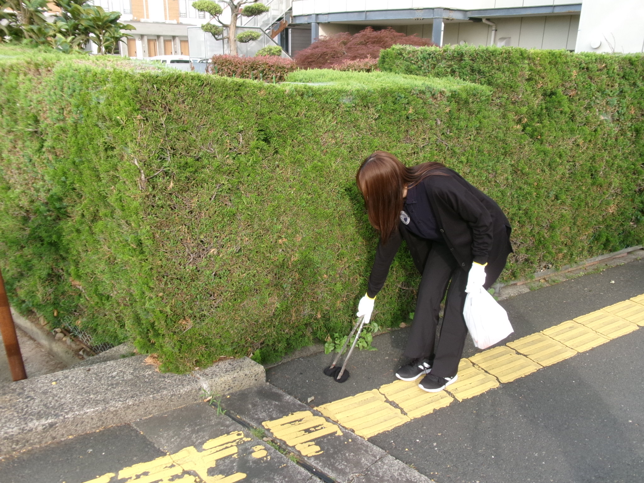 ハートフルしまね（道路）