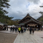 馬くいく良い年になりますように